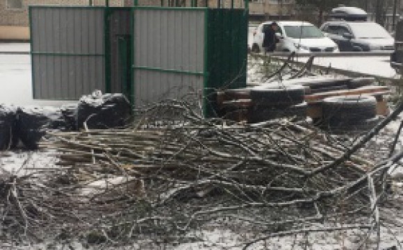 Профилактический рейд по несанкционированным навалам мусора прошел в Красногорске