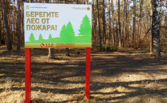 В Московской области снизилось количество природных пожаров