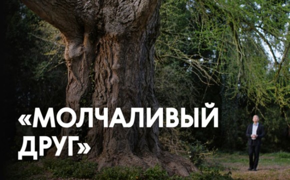 В Музее-заповеднике «Архангельское» можно будет увидеть новинки кино