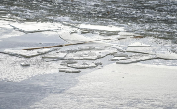 Провалившегося под лед рыбака спасли в Красногорске