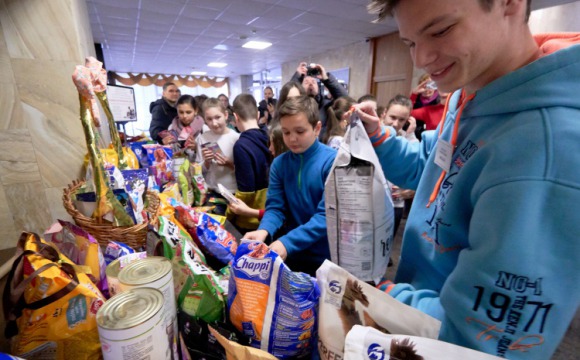 Более 200 килограммов корма собрали в рамках акции «Помоги четвероногому другу»