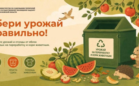 Ежегодная акция по сбору яблок и бахчевых стартует в Подмосковье 7 сентября