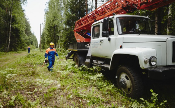 В Подмосковье расчищено более 120 га просек линий электропередачи