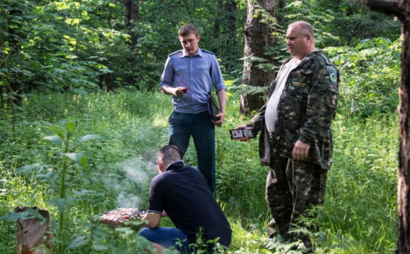 «Пикниковый сезон» в лесах Московской области начался спокойно