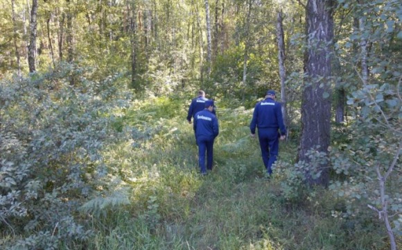 С начала 2017 года спасатели Московской области вывели из леса 153 заблудившихся