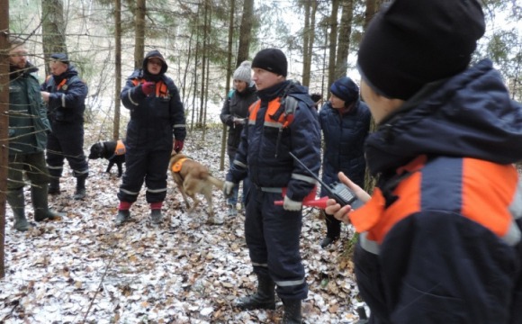 В лесах Московской области с начала года спасено 15 человек