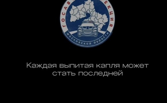 В разгар праздничных корпоративов и поездок к близким Госавтоинспекция Московской области призывает к максимальной ответственности