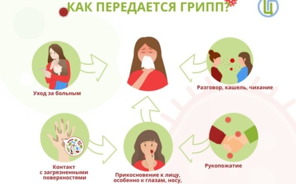 Мероприятия по профилактике гриппа