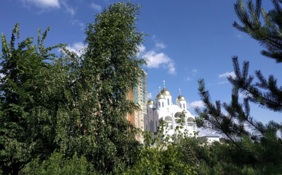 В Путилково появится парковая зона