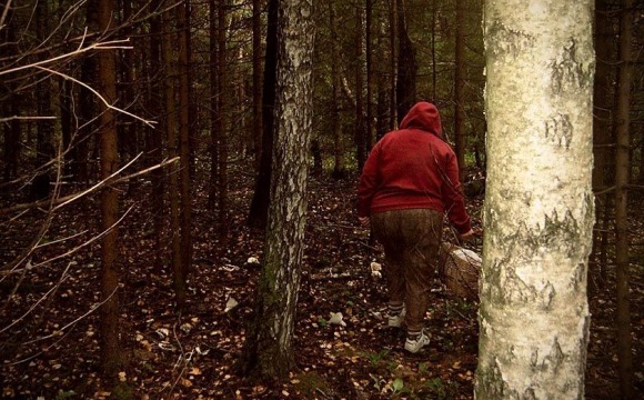 Меры безопасности при посещении лесных массивов в осенний период