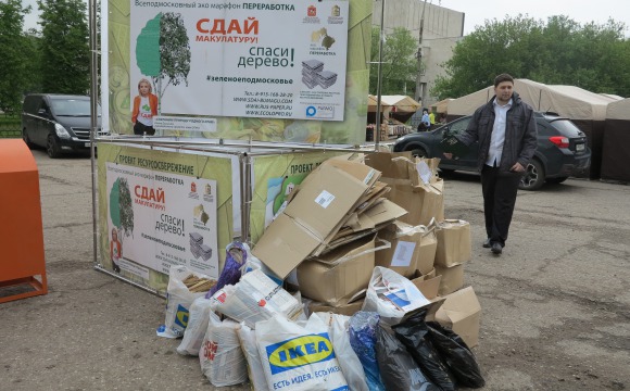 Сдал макулатуру – спас дерево