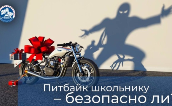 Ребёнок просит купить питбайк?