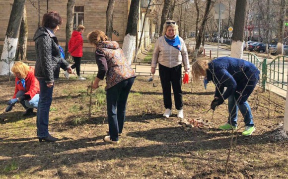 Сотрудники Пенсионного фонда городского округа Красногорск вышли на субботник