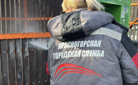 С каждым днем чище!