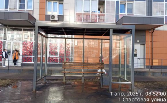 С каждым днем чище!