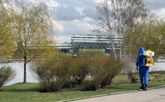 В Красногорске начались работы по акарицидной обработке парковых и зелёных зон. Сегодня работы были проведены на набережной в Павшинской пойме