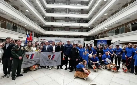 Рыжий десант на защите добра: уникальный в России корги-отряд отметил свой день рождения на площадке Ассоциации ветеранов СВО Московской области!