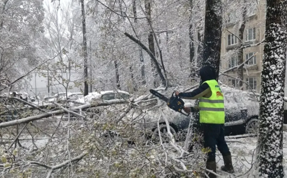 Уважаемые красногорцы!