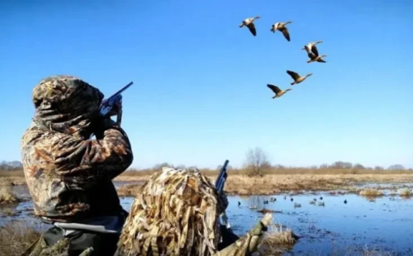 Уважаемые красногорцы!