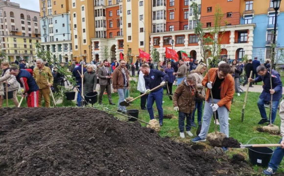 В Красногорске высадили Рябиновую аллею памяти в честь участников СВО