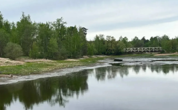 В Красногорске прошел рейд по защите водоохранной зоны реки Липка