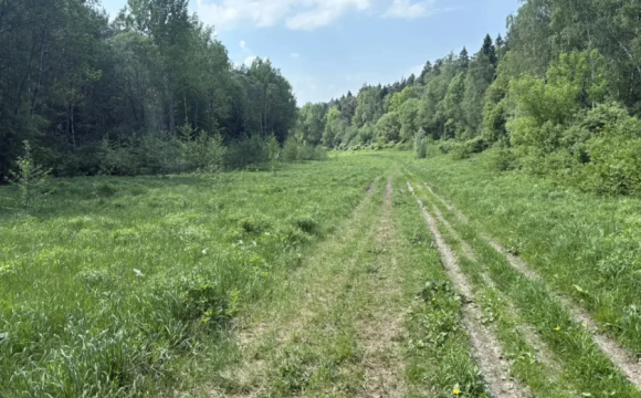 В Красногорске провели рейд по защите особо охраняемой природной территории