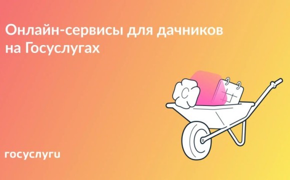 Онлайн-сервисы для дачников на Госуслугах