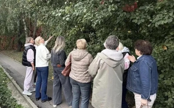 На связи с жителями
