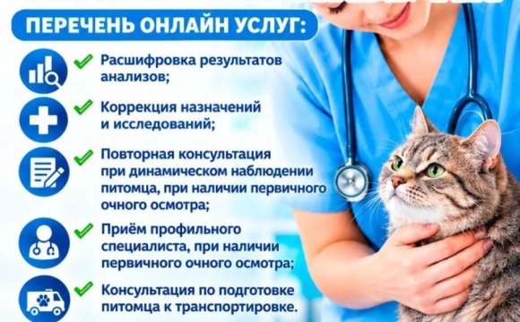 В Московской области заработал новый сервис телеветеринарии