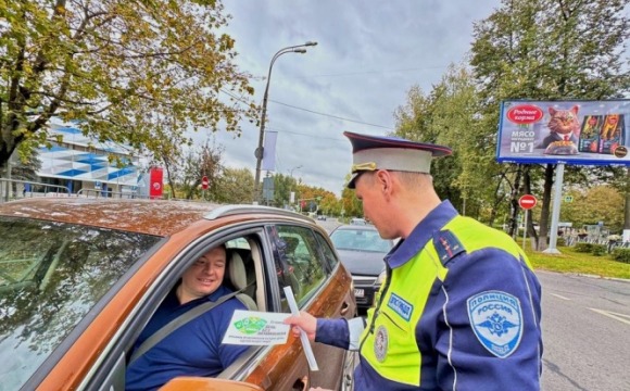 Госавтоинспекция Подмосковья призвала жителей отказаться от автомобилей во «Всемирный день без автомобиля»