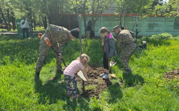 На улице Вокзальной в Красногорске появились десятки новых лип