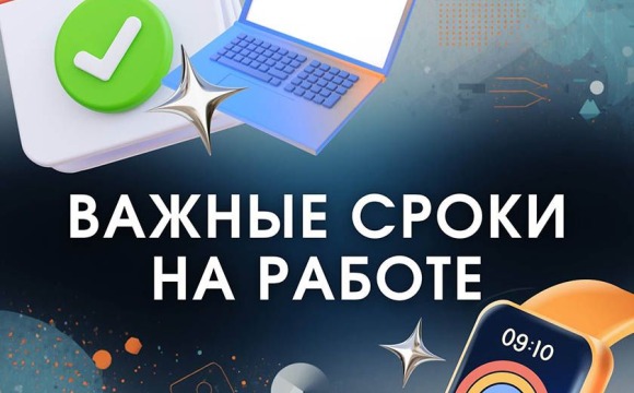 Какие сроки должны соблюдаться на работе?