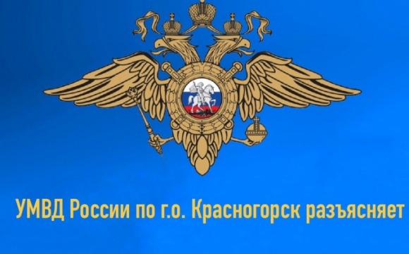 Какие существуют гарантии по социальной поддержке детей-сирот и детей,  оставшихся без попечения родителей?