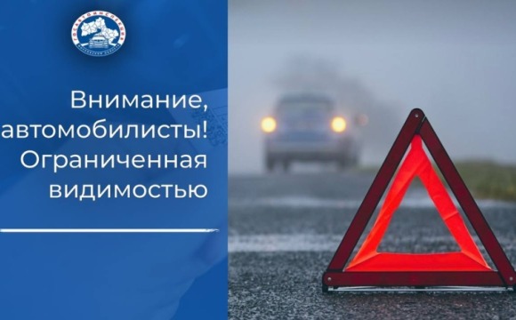 В Московском регионе объявлен желтый уровень погодной опасности из-за тумана