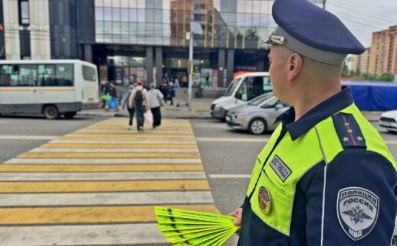 Общеобластное профилактическое мероприятие  «Пешеход - пешеходный переход» пройдет в Подмосковном Красногорске