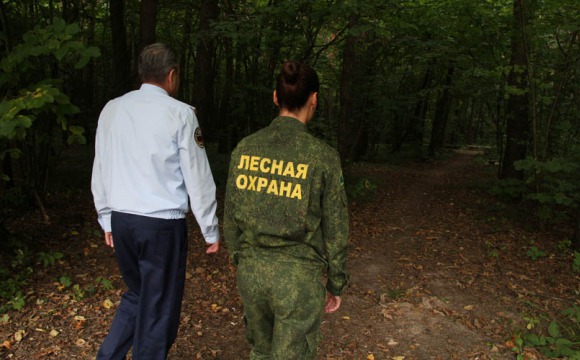 Взаимодействие Системы-112 Московской области и Комитета лесного хозяйства сократило время реагирования на происшествия в лесах