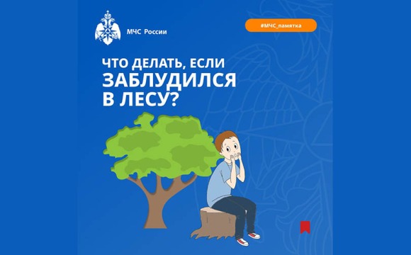 Что делать, если заблудился в лесу?