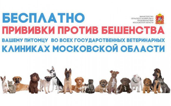 Бесплатная вакцинация против бешенства собак и кошек!