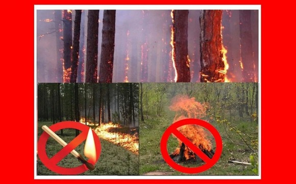 МЧС предупреждает
