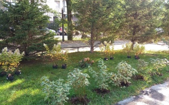 Продолжается прием заявок на конкурс «Лучший двор — 2026»!