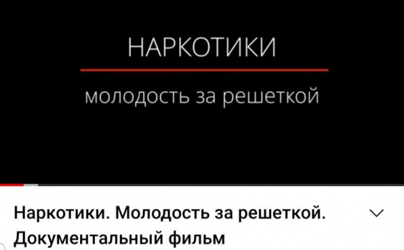 На сайте Уполномоченного по правам человека в Московской области можно посмотреть документальный фильм «Наркотики. Молодость за решёткой»