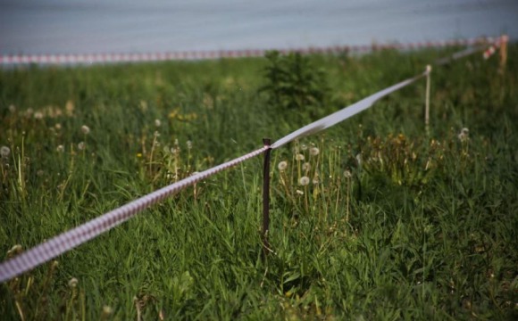Узаконить земельный самозахват — реально!