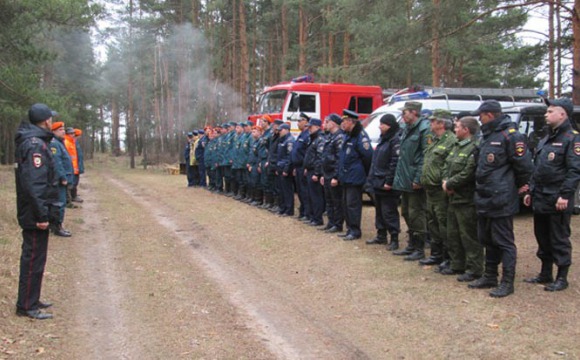 26 заблудившихся в лесу спасли в Московской области с начала 2019 года