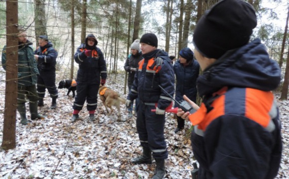 С начала 2017 года в лесах Московской области спасено почти 900 человек