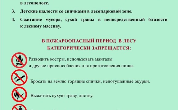 Внимание! В пожароопасный период максимально ограничивается посещение леса!