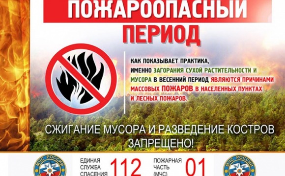 Соблюдайте правила пожарной безопасности в лесу