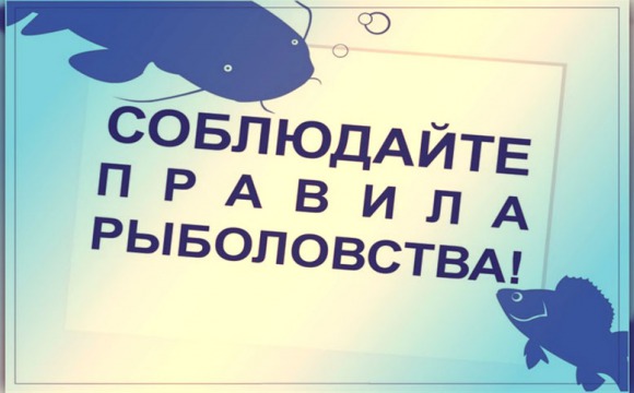 Правила рыболовства для Волжско-Каспийского рыбохозяйственного бассейна
