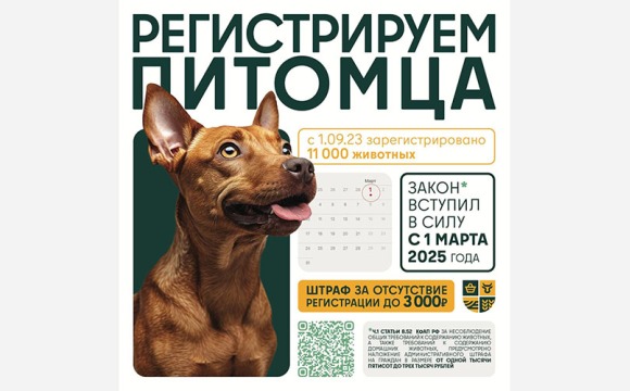 Регистрируем питомца
