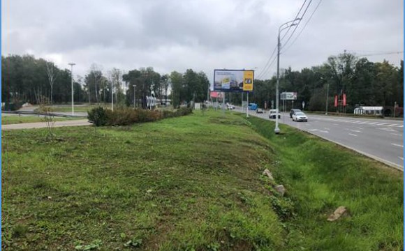 Жители поселка Отрадное высадят деревья вдоль Пятницкого шоссе