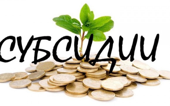 Проведение конкурса по предоставлению субсидий из бюджета Московской области